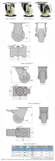 SK6-ZZ75108P-S Колесная опора, нержавеющая сталь, полиамид